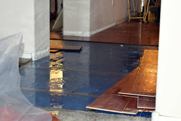 Professional Burst Pipe Cleanup technician working in Longview, TX